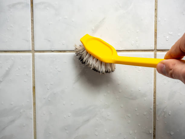 Best Mold Testing  in Robertsville, NJ