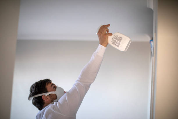 Mold Removal and Inspection in Robertsville, NJ