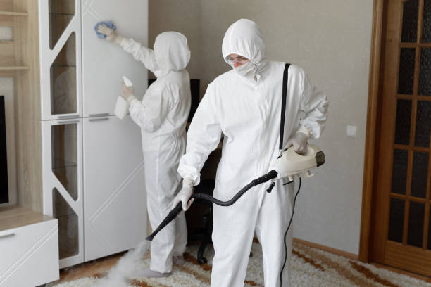 Best Residential Mold Removal  in Robertsville, NJ