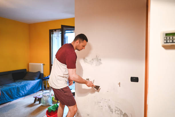 Best Mold Remediation Services  in Robertsville, NJ